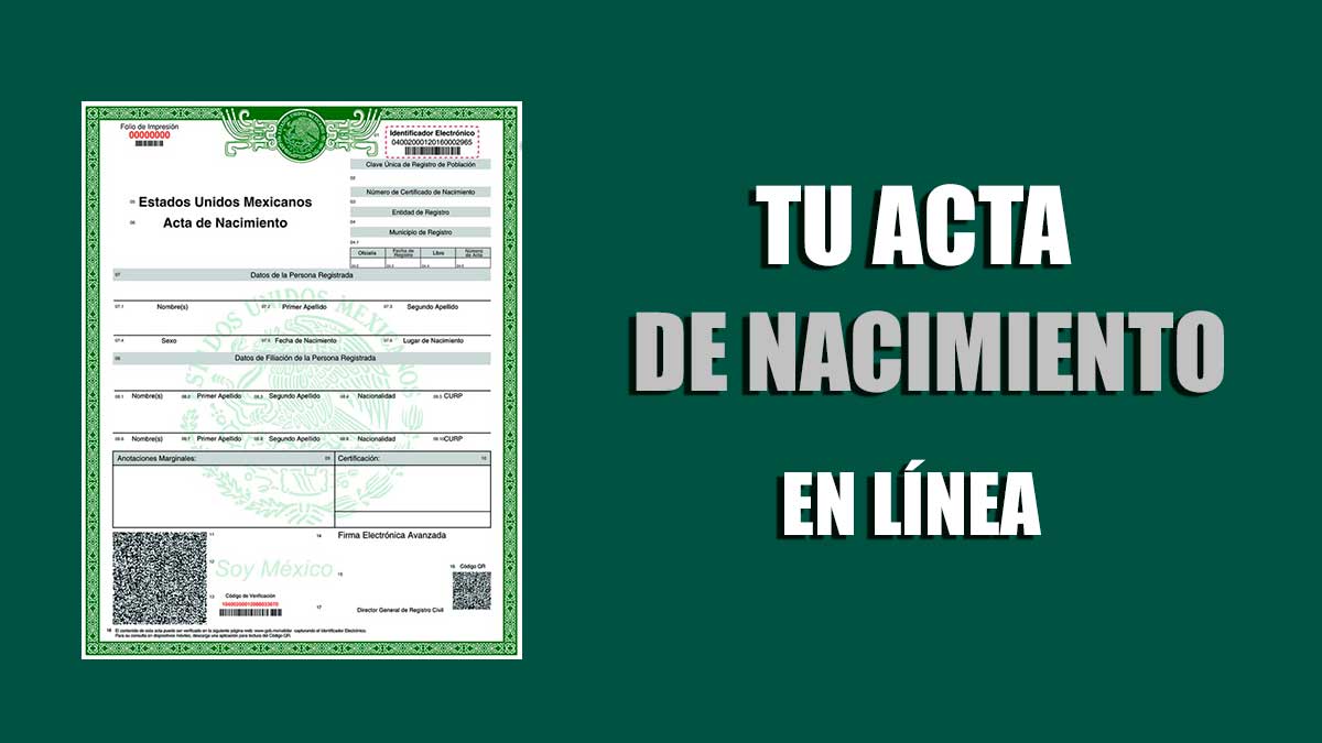 Acta De Nacimiento En Linea Consultar Sacar Y Descargar 0331